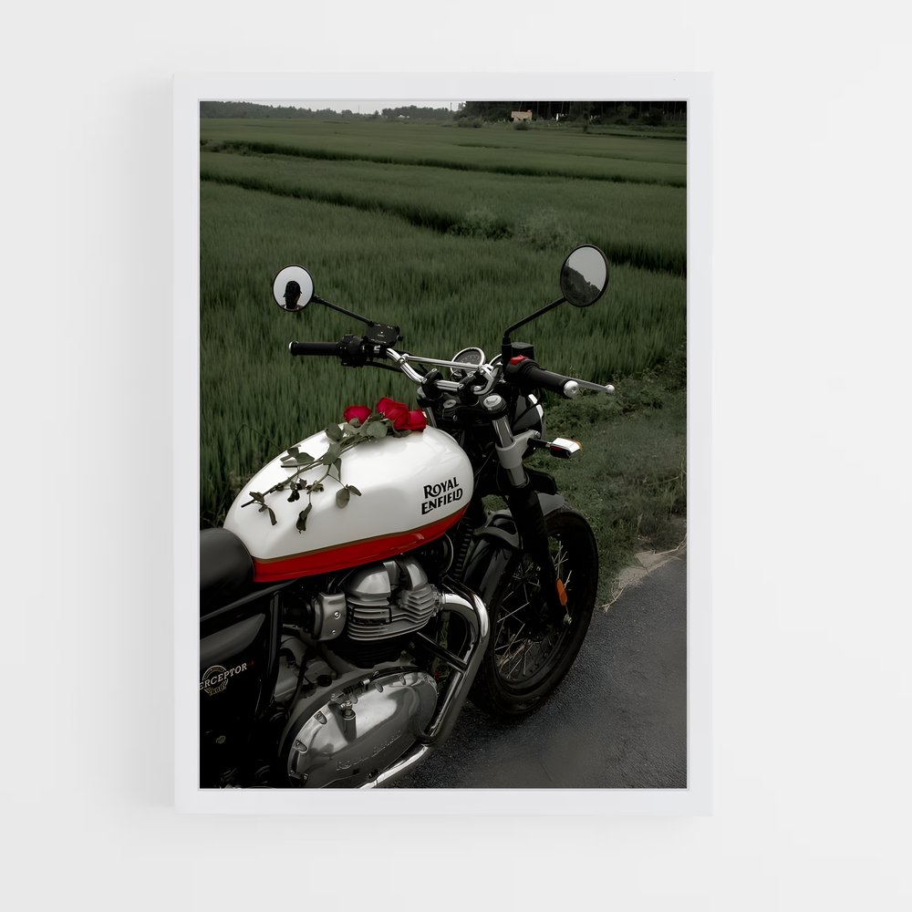 Poster Royal Enfield magnifique (vue 3)